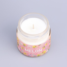 Свеча ароматическая в банке "Сочная дыня", совый воск, 80 г - Фото 6