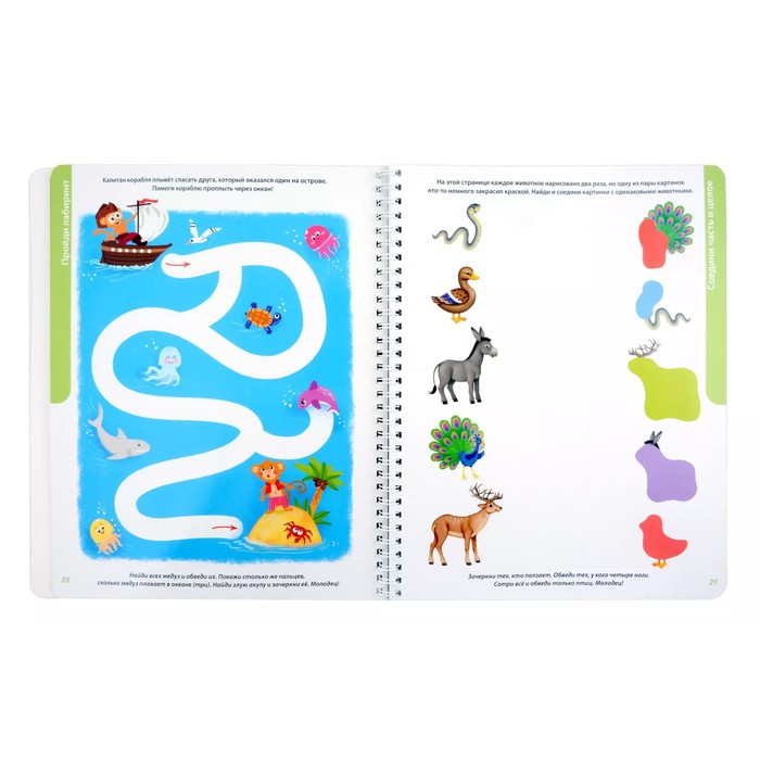 Развивающий альбом «Пиши - стирай», 2+ 10389502