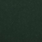 Пергамент флористический "Изумруд двусторонний" 0,6 х 10 м, 52 г/м2 - фото 9626897