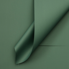 Пленка для цветов тонированная, матовая, серо-зелёная, 57 х 57 ±1 см, 65 мкм - фото 321246153