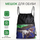 Мешок для обуви на шнурке, с карманом, принтом, размер 45×1×34 см, разноцветный - Фото 1