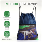 Мешок для обуви на шнурке, с карманом, принтом, размер 45×1×34 см, синий/серый - Фото 1