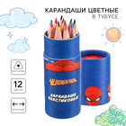 Цветные карандаши в тубусе, 12 цветов, трехгранные, Человек-паук - фото 3383066