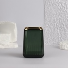 Органайзер - подставка для хранения косметики GREEN, 11×8.2×8.2 см, зелёный - Фото 4