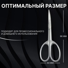 Ножницы маникюрные «Premium satin», узкие, загнутые, матовые, 9,6 см, цвет серебристый - Фото 3