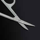 Ножницы маникюрные «Premium satin», узкие, загнутые, матовые, 9,6 см, цвет серебристый - Фото 9