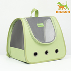 Рюкзак-переноска для животных, 35 х 30 х 26 см, зелёный