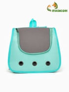 Рюкзак-переноска для животных, 35×30×26 см, голубой - Фото 1