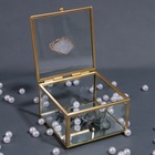 Органайзер для хранения «MOUNTAINS», с крышкой, стеклянный, с зеркальным дном, 1 секция, 10 × 10 × 6 см, цвет прозрачный/медный - Фото 5