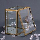 Органайзер для хранения «MOUNTAINS», с крышкой, стеклянный, с зеркальным дном, 1 секция, 10 × 10 × 6 см, цвет прозрачный/медный - Фото 7