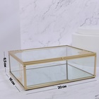 Органайзер для хранения «GREAT», с крышкой, стеклянный, с зеркальным дном, 1 секция, 20 × 16 × 6,5 см, цвет прозрачный/медный - Фото 2
