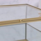 Органайзер для хранения «GREAT», с крышкой, стеклянный, с зеркальным дном, 1 секция, 20 × 16 × 6,5 см, цвет прозрачный/медный - Фото 8