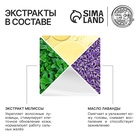 Шампунь для волос с маслом лаванды и экстрактом мелиссы, густые и сильные, 300 мл, ECO LAB by URAL LAB - Фото 3