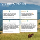 Бальзам для волос с маслом хлопка и арганы, восстановление, 300 мл, ECO LAB by URAL LAB - Фото 8