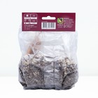 Бегония ампельная Вайт, р-р 4/5, 2 шт, Весна 2024 - Фото 2