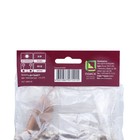 Бегония ампельная Вайт, р-р 4/5, 2 шт, Весна 2024 - Фото 3