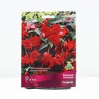 Бегония ампельная Скарлет, р-р 4/5, 2 шт, Весна 2024 - Фото 1