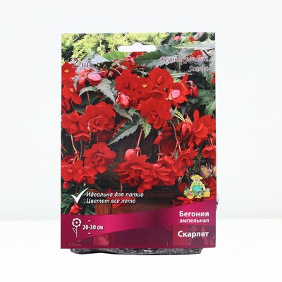Бегония ампельная Скарлет р-р 4/5, 2 шт. Весна 2026