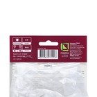 Бегония ампельная Скарлет, р-р 4/5, 2 шт, Весна 2024 - Фото 3