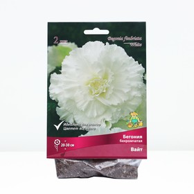 Бегония бахромчатая Вайт р-р 4/5, 2 шт. Весна 2026
