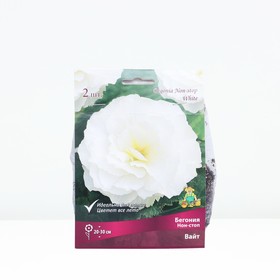 Бегония Нон-стоп Вайт р-р 4/5, 2 шт. Весна 2026