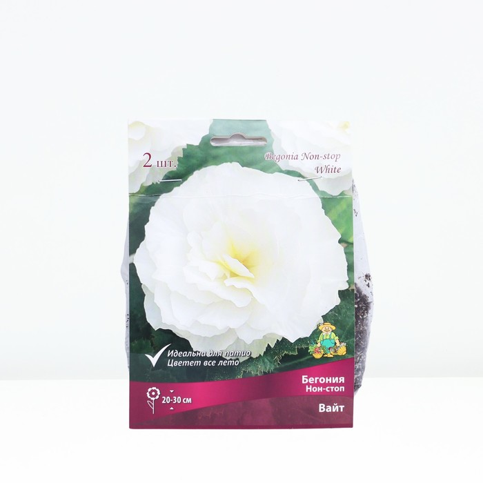 

Бегония Нон-стоп Вайт, р-р 4/5, 2 шт, Весна 2024