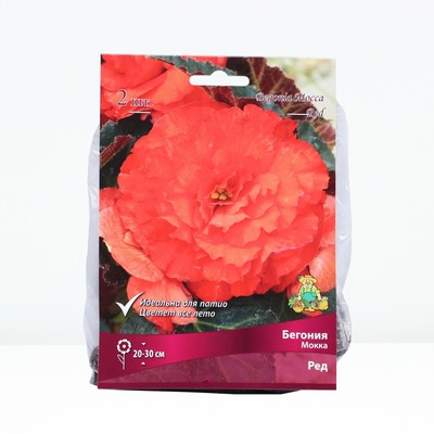 Бегония мокка Ред р-р 4/5, 2 шт. Весна 2026