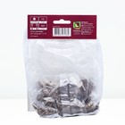 Бегония мокка Ред р-р 4/5, 2 шт. Весна 2026  (артикул 10369032)  большой выбор товаров оптом и в розницу по низким ценам с доставкой