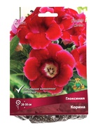 Глоксиния Корина р-р 4/5, 2 шт. Весна 2026 - Фото 2