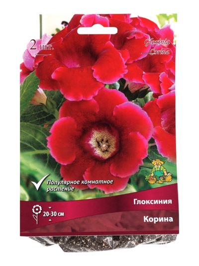 Глоксиния Корина р-р 4/5, 2 шт. Весна 2026