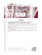 Глоксиния Корина р-р 4/5, 2 шт. Весна 2026 - Фото 4
