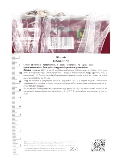 Глоксиния Корина р-р 4/5, 2 шт. Весна 2026