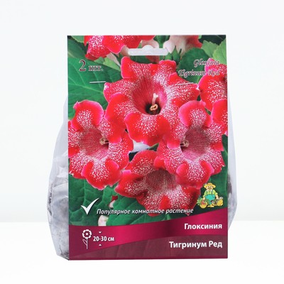 Глоксиния Тигринум Ред, р-р 4/5, 2 шт, Весна 2024