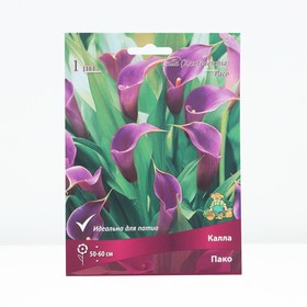 Калла Пако, р-р 14/16, 1 шт, Весна 2025 10369068