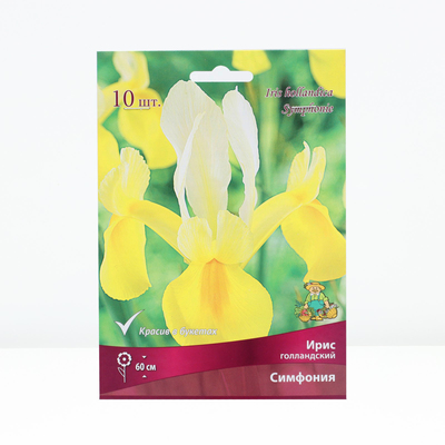 Корневище Ирис голландский Симфония, р-р 7/8, 10 шт., Весна 2026