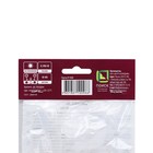 Ирис голландский «Уайт ван Влиет», р-р 6/7, 10 шт., Осень 2025 - Фото 3