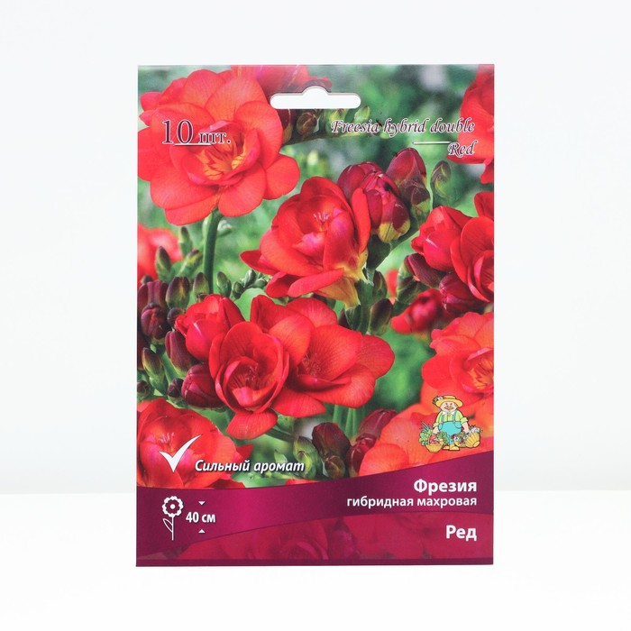 Фрезия гибридная махровая Ред, луковица в пакете с перфорацией, р-р 5/6, 10 шт. - Фото 1