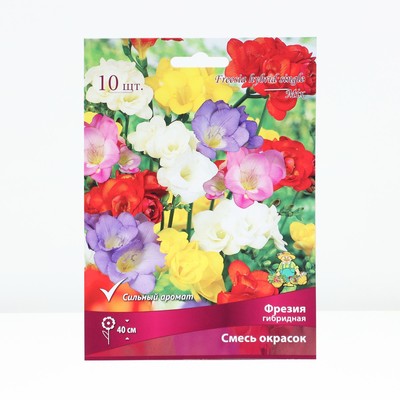 Луковица Фрезия гибридная Cмесь окрасок, р-р 5/6, 10 шт., Весна 2026