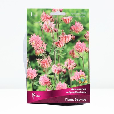 Аквилегия гибрид МакКаны Барлоу Пинк, корневище в торфогрунте, р-р I, 1 шт.