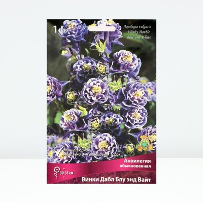 Аквилегия обыкновенная Винки Дабл Блу энд Вайт, корневище в торфогрунте, р-р I, 1 шт.