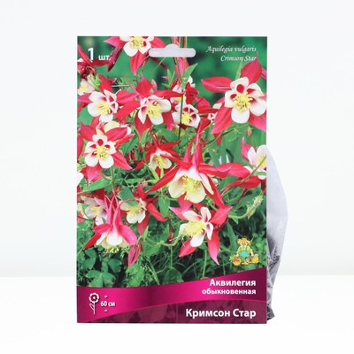 Аквилегия обыкновенная Кримсон Стар, корневище в торфогрунте, р-р I, 1 шт.