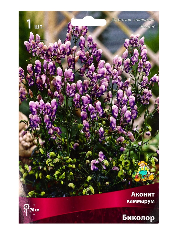 Аконит каммарум Биколор, корневище в торфогрунте, р-р I, 1 шт. - Фото 1