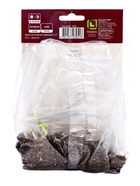 Аконит каммарум Биколор, корневище в торфогрунте, р-р I, 1 шт. - Фото 2