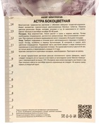 Астра бокоцветковая «Принц», корневище в торфогрунте, р-р I, 1 шт. 10369117 - фото 4357308