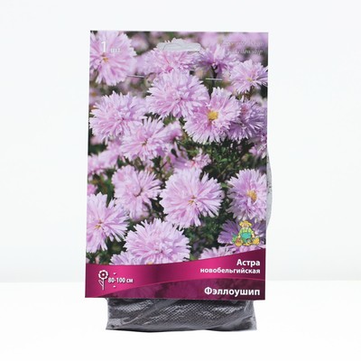 Астра новобельгийская «Фэллоушип»,корневище в торфогрунте, р-р I, 1 шт.