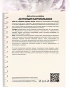 Астранция карниольская «Рубра», корневище в торфогрунте, р-р 1, 1 шт. 10369128 - фото 4357336