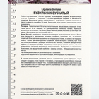 Бузульник зубчатый «Дездемона», 1 шт., Осень 2026, «ПОИСК» - Фото 4
