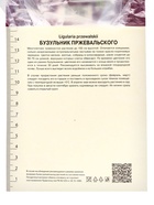 Бузульник Пржевальского, корневище в торфогрунте, р-р I, 1 шт. 10369141 - фото 4357353