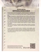 Вероника колосковая Алстэ Блу Двоф р-р I, 1 шт. Весна 2026 - Фото 2