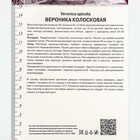Вероника колосковая «Хайдекинд», корневище в пакете с торфогрунтом, р-р I, 1 шт. 10369151 - фото 4357371